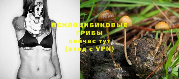 МДПВ Горно-Алтайск